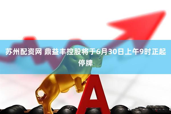 苏州配资网 鼎益丰控股将于6月30日上午9时正起停牌